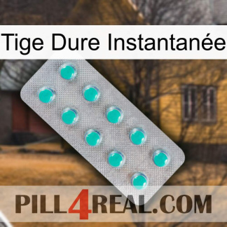 Tige Dure Instantanée 28